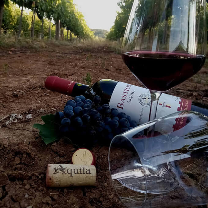 Aquila Winery
